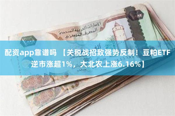 配资app靠谱吗 【关税战招致强势反制！豆粕ETF逆市涨超1%，大北农上涨6.16%】