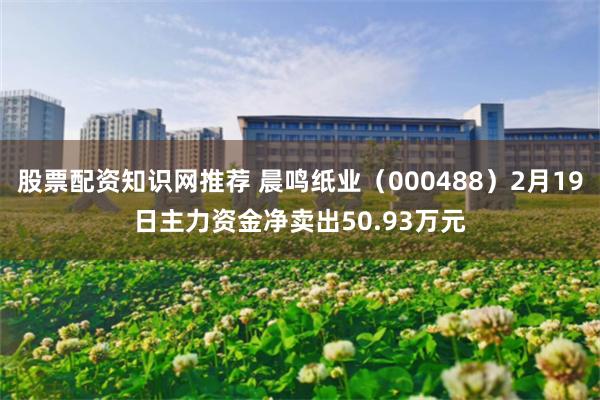 股票配资知识网推荐 晨鸣纸业（000488）2月19日主力资金净卖出50.93万元