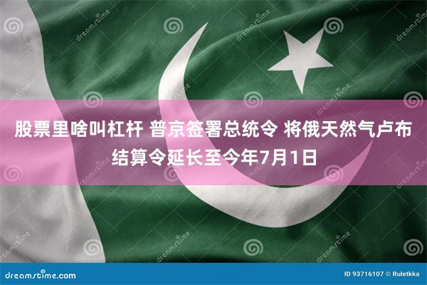 股票里啥叫杠杆 普京签署总统令 将俄天然气卢布结算令延长至今年7月1日