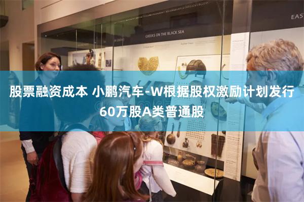 股票融资成本 小鹏汽车-W根据股权激励计划发行60万股A类普通股