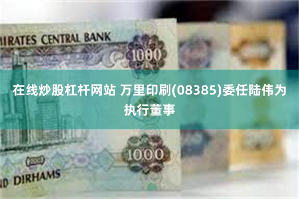 在线炒股杠杆网站 万里印刷(08385)委任陆伟为执行董事