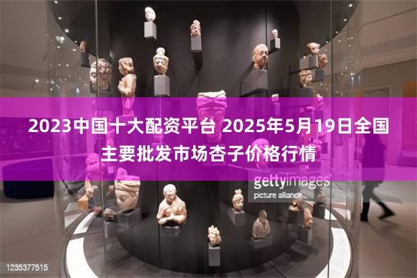 2023中国十大配资平台 2025年5月19日全国主要批发市场杏子价格行情
